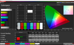 CalMAN - espacio de color (cálido, estándar, sRGB)