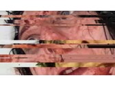 Una captura de pantalla del juego de terror VILE: Exhumed, que muestra un vídeo VHS de una mujer en pausa y con fallos. (Fuente de la imagen: DreadXP/Final Girl Games)