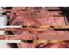 Una captura de pantalla del juego de terror VILE: Exhumed, que muestra un vídeo VHS de una mujer en pausa y con fallos. (Fuente de la imagen: DreadXP/Final Girl Games)
