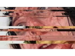 Una captura de pantalla del juego de terror VILE: Exhumed, que muestra un vídeo VHS de una mujer en pausa y con fallos. (Fuente de la imagen: DreadXP/Final Girl Games)