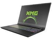 Análisis del Schenker XMG Pro 15 (Clevo PC50HS-D): Portátil de juegos 4K fino y ligero