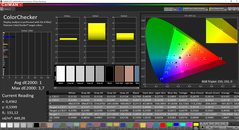 CalMAN ColorChecker calibrado (espacio de color objetivo P3)