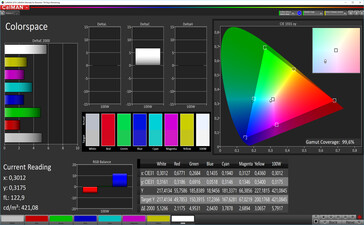 CalMAN: Espacio de color - contraste automático, colores estándar, espacio de color de destino DCI P3
