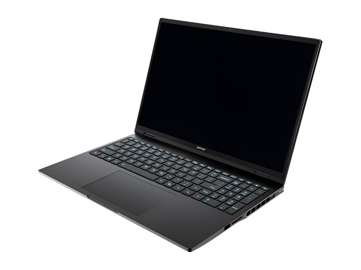 También se ofrecerá una pantalla QHD de 300 Hz.