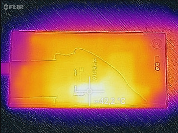 mapa de calor trasera