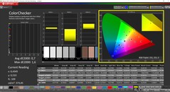 CalMAN ColorChecker calibrado (perfil: P3, espacio de color de destino: P3)