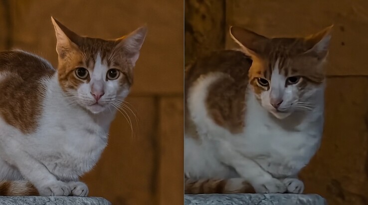 Izquierda: Con teleconvertidor a 200 mm. Derecha: Sin teleconvertidor.