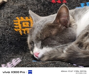 Vivo X300 Pro 400 mm sin teleconvertidor.