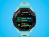 La serie Forerunner 265 está disponible en dos tamaños. (Fuente de la imagen: Garmin)