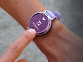 Garmin rara vez lanza nuevas actualizaciones del Lily 2. (Fuente de la imagen: Garmin)