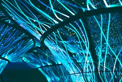 Los cables de fibra óptica también pueden utilizarse para crear obras de arte. (Fuente de la imagen: Pexels/Georgie Devlin)