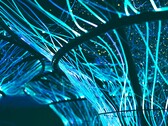 Los cables de fibra óptica también pueden utilizarse para crear obras de arte. (Fuente de la imagen: Pexels/Georgie Devlin)