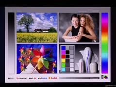 Amplios ángulos de visión OLED