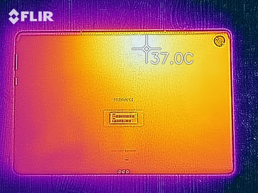 Distribución de calor - espalda