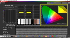 CalMAN ColorChecker calibrado (espacio de color DCI-P3)