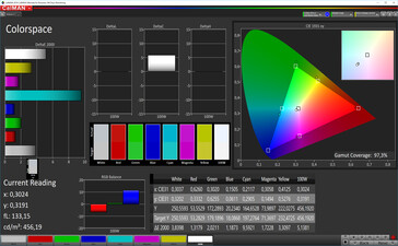 CalMAN: Espacio de color - espacio de color objetivo sRGB, balance de blancos personalizado