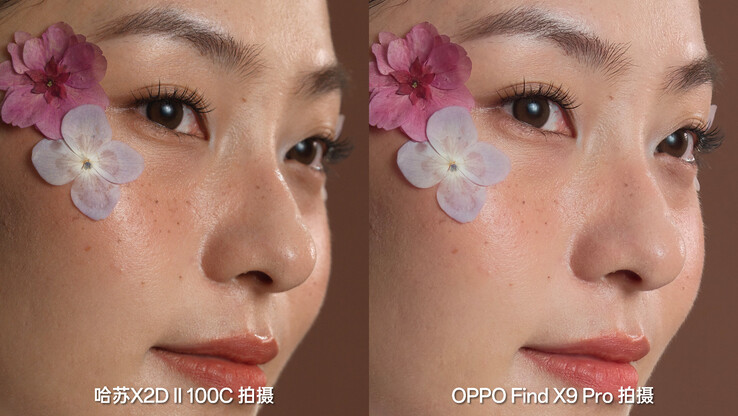 Una comparación detallada. (Fuente de la imagen: Zhou Yibao)