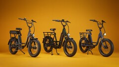 La e-bike utilitaria RadRunner Max Cargo cuenta con un motor de 750 W montado en la parte trasera (Fuente de la imagen: Rad Power Bikes)