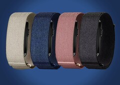 Al parecer, el Garmin CIRQA está disponible en cuatro colores diferentes.