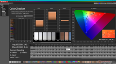 ColorChecker (preajuste sRGB)