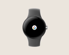 La aplicación Google Home en el Pixel Watch. (Fuente: Google)