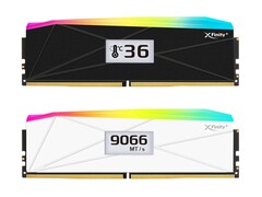 Variantes en blanco y negro de los módulos XFinity+ con pantallas OLED. (Fuente de la imagen: V-color)