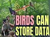 Los pájaros pueden almacenar datos (fuente de la imagen: canal de YouTube de Benn Jordan)