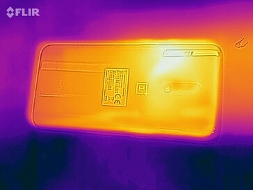 Mapa de calor de la parte posterior