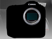 Aunque ha habido numerosas filtraciones sobre la Canon EOS R1, sus especificaciones exactas siguen siendo un misterio. (Fuente de la imagen: Canon - editado)