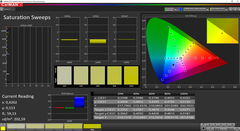 CalMAN: Saturación - espacio de color de destino AdobeRGB (calibrado)
