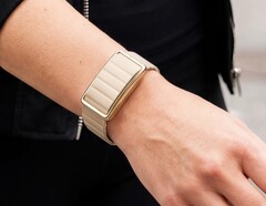 Polar Loop ya está disponible con una gama de nuevas correas.