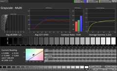 Escalas de grises (perfil: Original Pro, espacio de color de destino: sRGB)