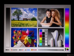 Amplios ángulos de visión Mini-LED