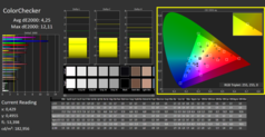 CalMan ColorChecker calibrado