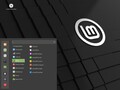 Linux Mint 20