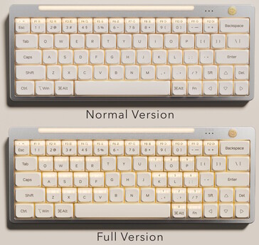 El teclado de doble acción Hesper64(100) está disponible en dos diseños. (Fuente de la imagen: Nics Tek)