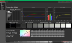 Escala de grises antes de la calibración