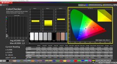 CalMAN ColorChecker (perfil: Fotografía P3, espacio de color de destino: P3)