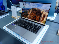 Los detalles sobre el precio y la disponibilidad de la serie GeekBook siguen en secreto. En la imagen: el X14 Pro. (Fuente de la imagen: Notebookcheck)