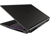 Análisis del portátil para juegos Schenker XMG Neo 15 - La RTX 3080 con TGP de 165W garantiza altas puntuaciones