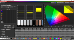 CalMAN ColorChecker (espacio de color de destino: P3)