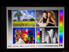 Amplios ángulos de visión IPS