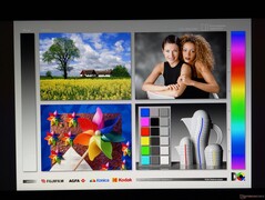 Amplios ángulos de visión de las pantallas OLED