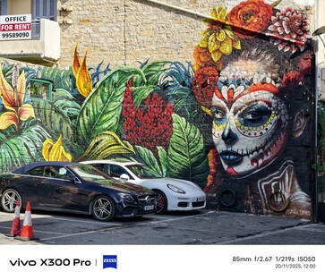 Vivo X300 Pro: Muestra fotográfica