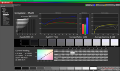 Escala de grises antes de la calibración