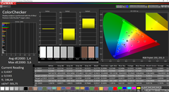 CalMAN ColorChecker calibrada (espacio de color objetivo P3)