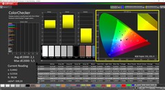 CalMAN ColorChecker (perfil: DisplayP3, espacio de color de destino: P3)