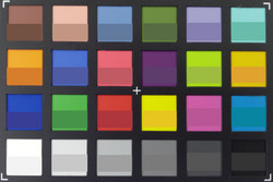 ColorChecker: El color de referencia se muestra en la mitad inferior de cada parche.