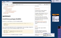 Entorno gráfico ctwm de NetBSD (Fuente: NetBSD)