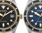 Citizen bicolor